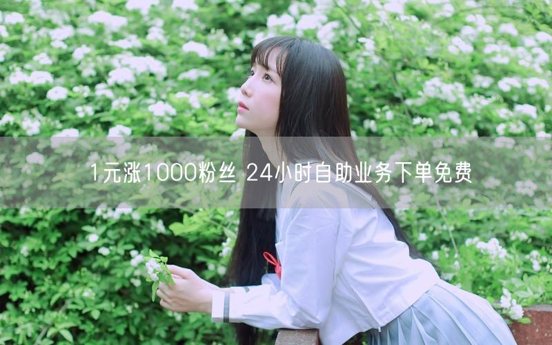 1元涨1000粉丝 24小时自助业务下单免费