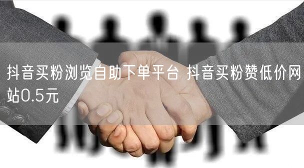抖音买粉浏览自助下单平台 抖音买粉赞低价网站0.5元