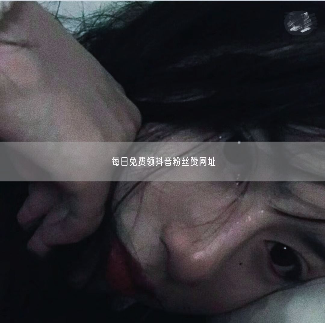 每日免费领抖音粉丝赞网址