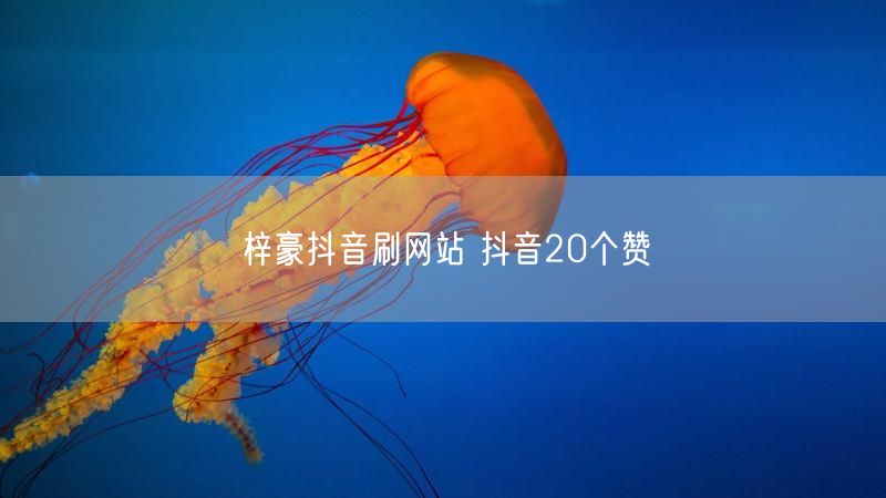 梓豪抖音刷网站 抖音20个赞