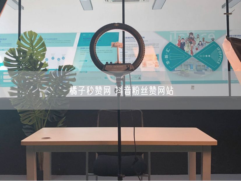 橘子秒赞网 抖音粉丝赞网站