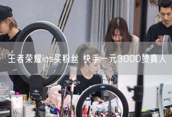 王者荣耀ios买粉丝 快手一元3000赞真人