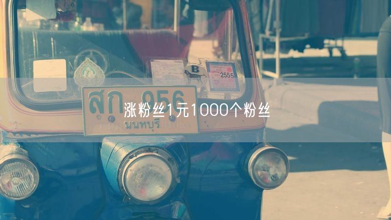 涨粉丝1元1000个粉丝