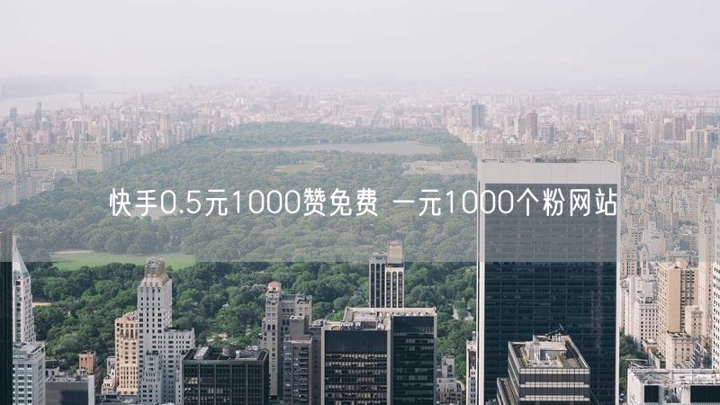 快手0.5元1000赞免费 一元1000个粉网站