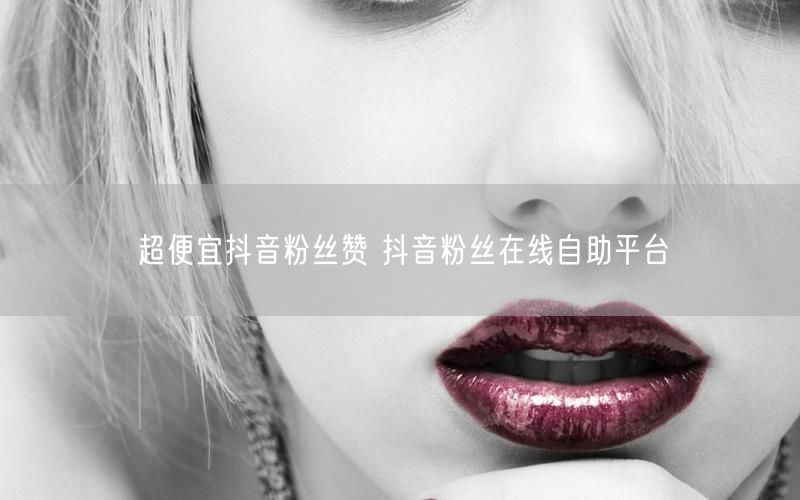 超便宜抖音粉丝赞 抖音粉丝在线自助平台