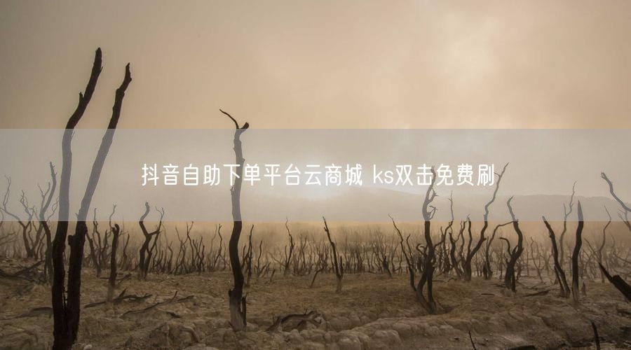 抖音自助下单平台云商城 ks双击免费刷