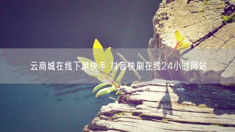 云商城在线下单快手 抖音快刷在线24小时网站