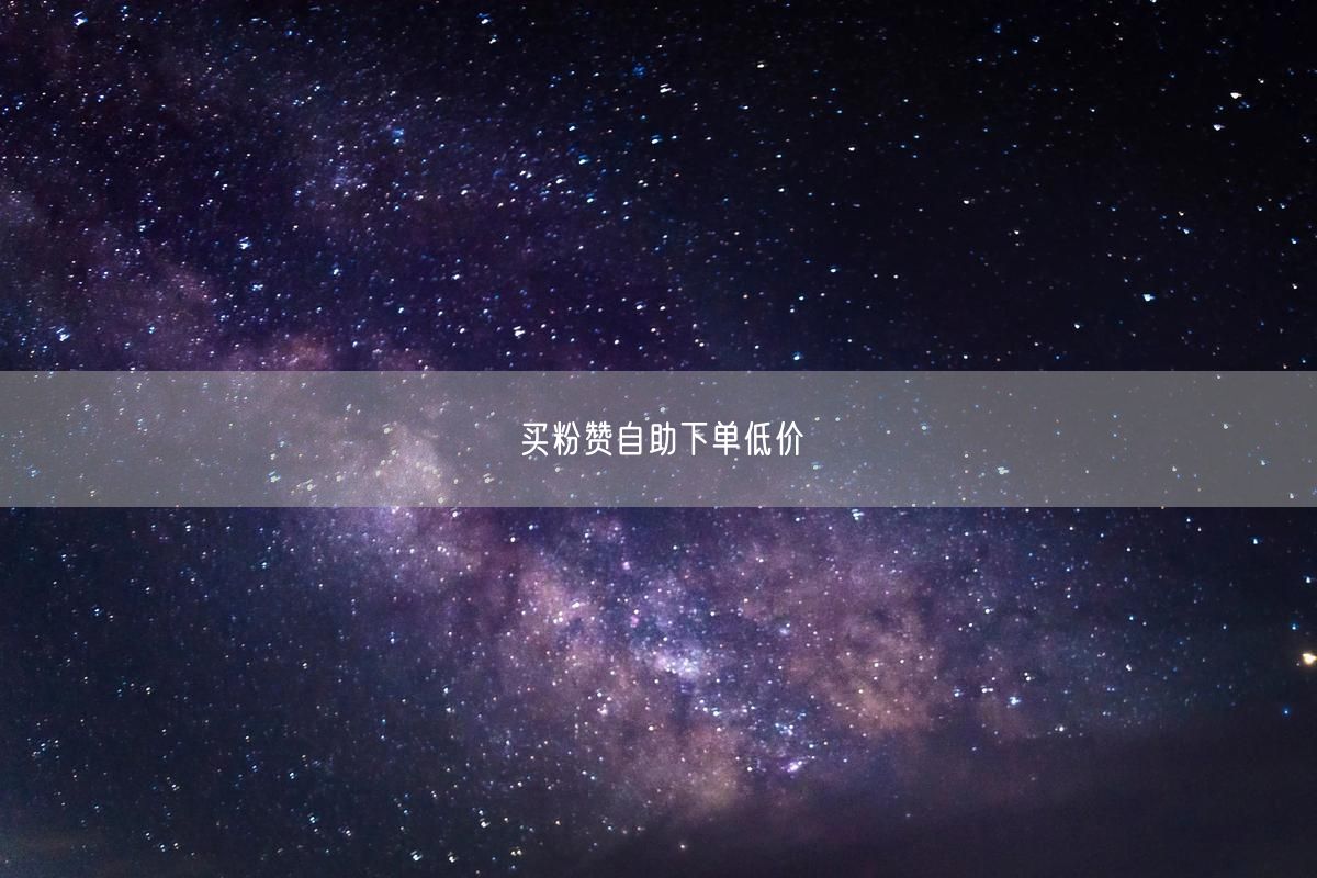 买粉赞自助下单低价