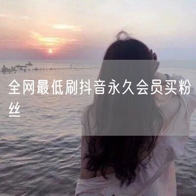 全网最低刷抖音永久会员买粉丝