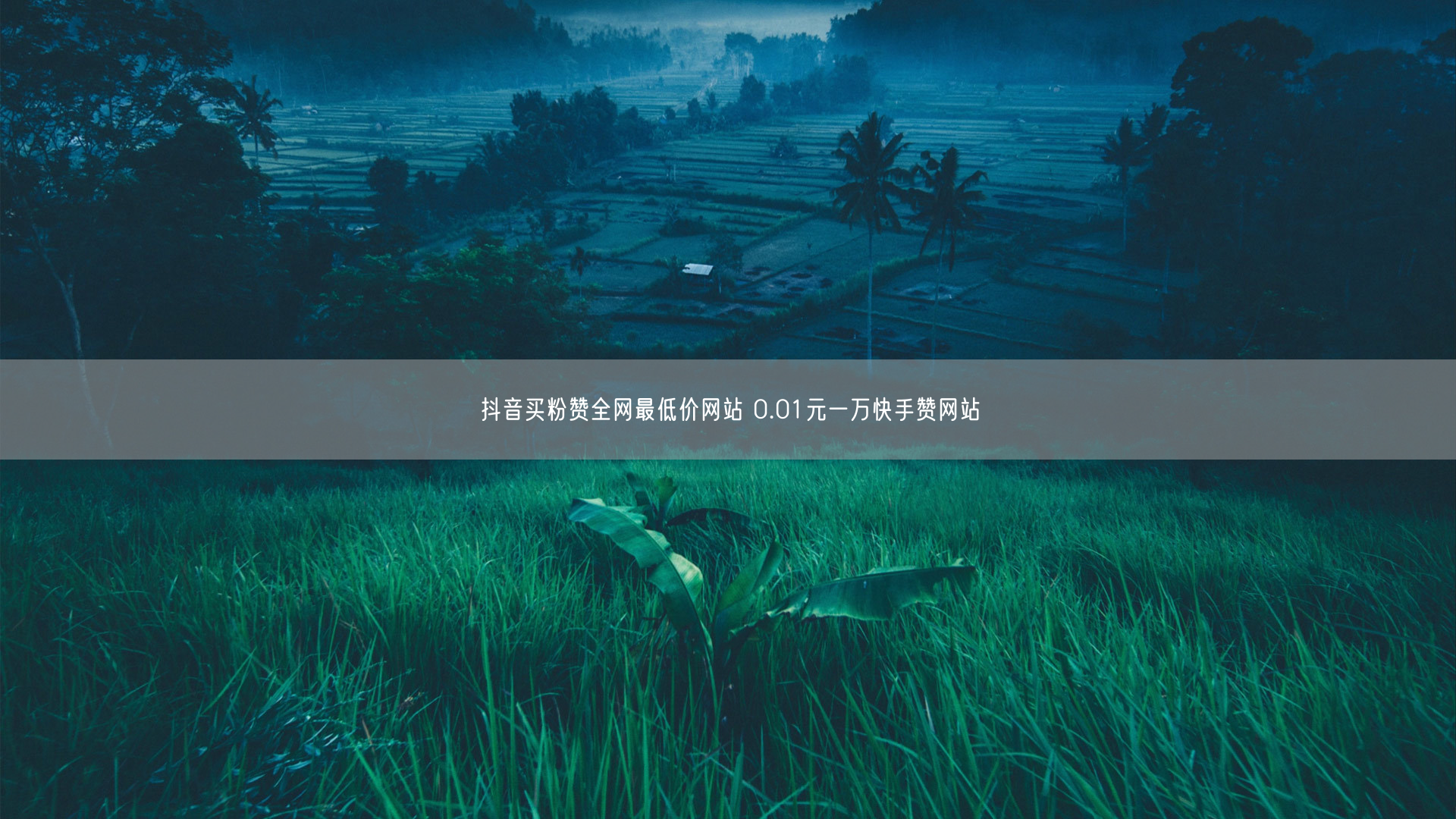 抖音买粉赞全网最低价网站 0.01元一万快手赞网站