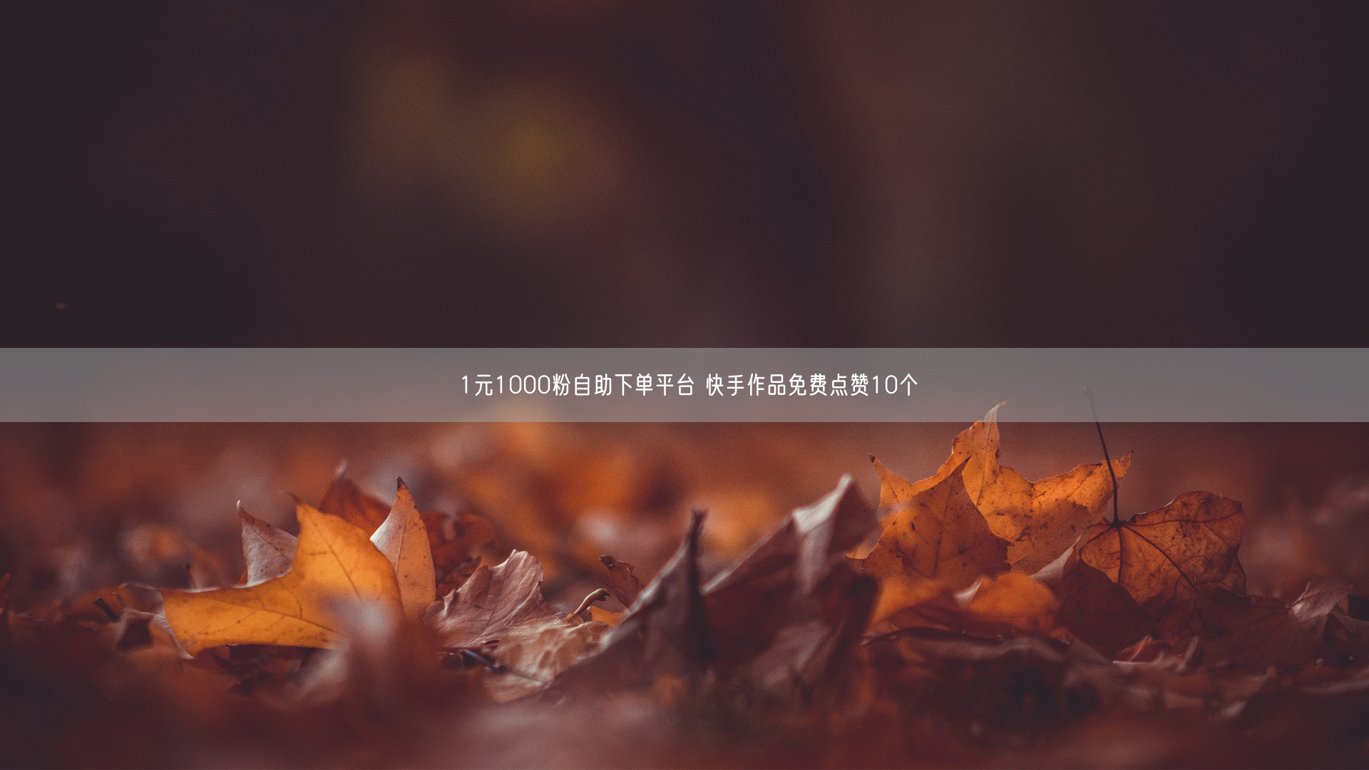 1元1000粉自助下单平台 快手作品免费点赞10个