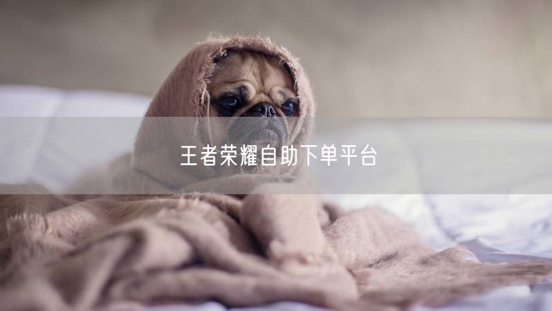 王者荣耀自助下单平台