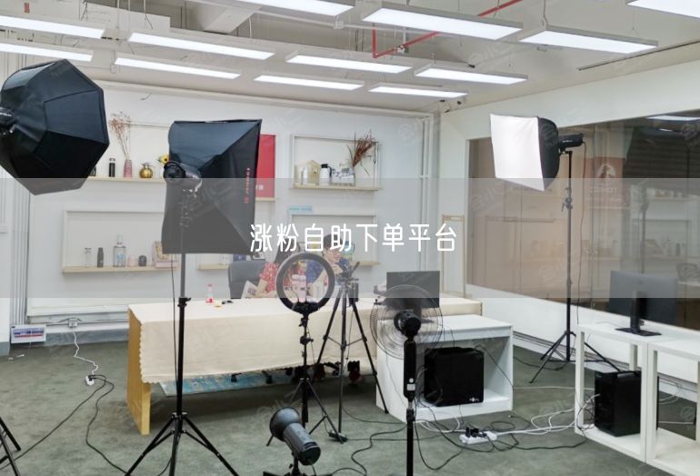 涨粉自助下单平台
