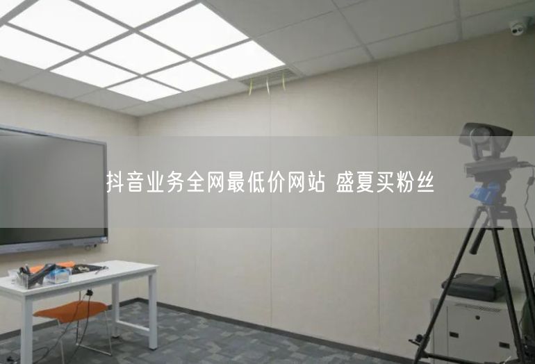 抖音业务全网最低价网站 盛夏买粉丝