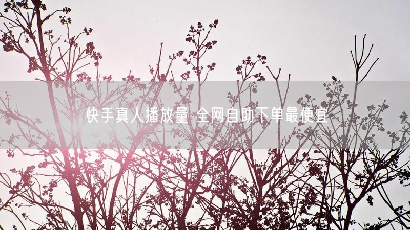 快手真人播放量 全网自助下单最便宜