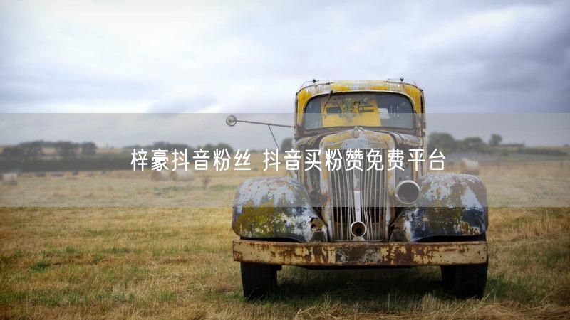 梓豪抖音粉丝 抖音买粉赞免费平台