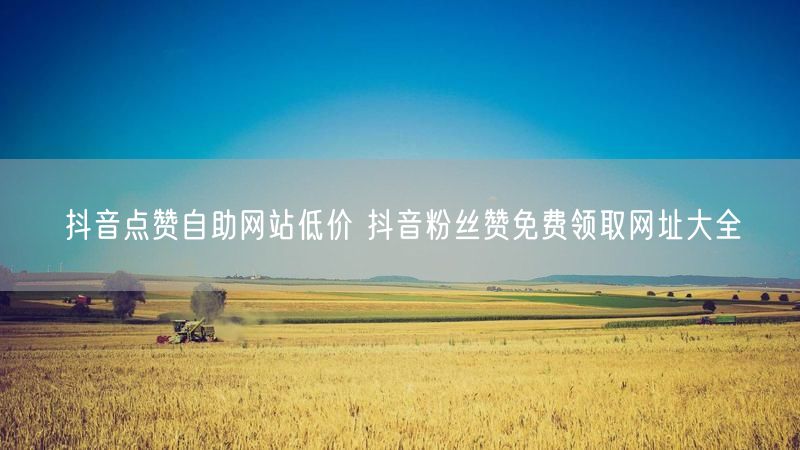 抖音点赞自助网站低价 抖音粉丝赞免费领取网址大全
