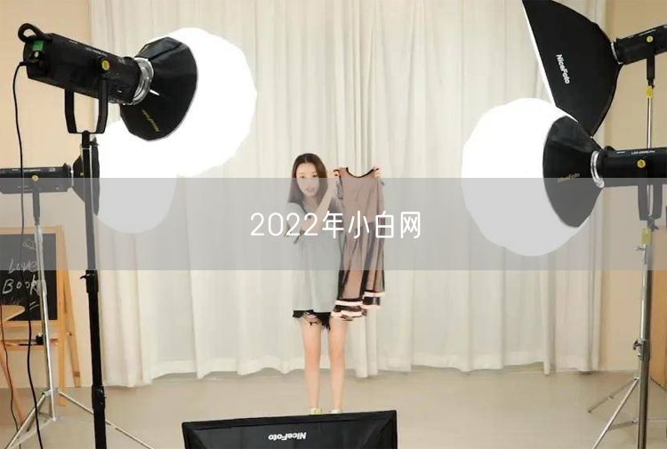 2022年小白网