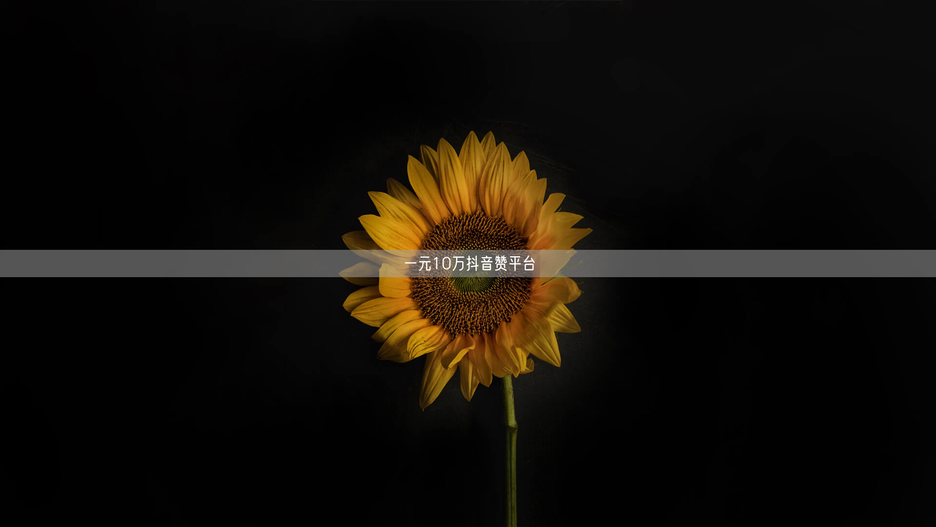 一元10万抖音赞平台