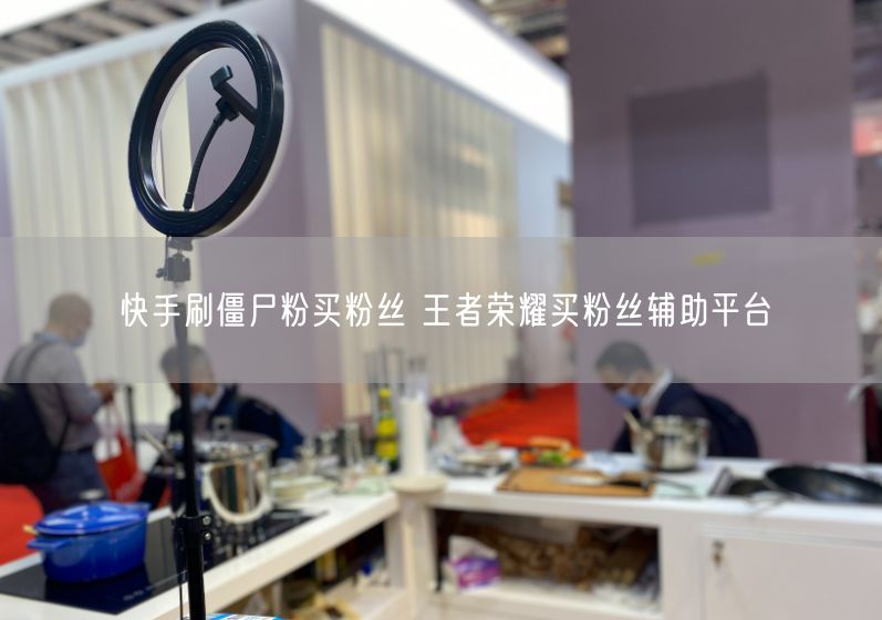 快手刷僵尸粉买粉丝 王者荣耀买粉丝辅助平台