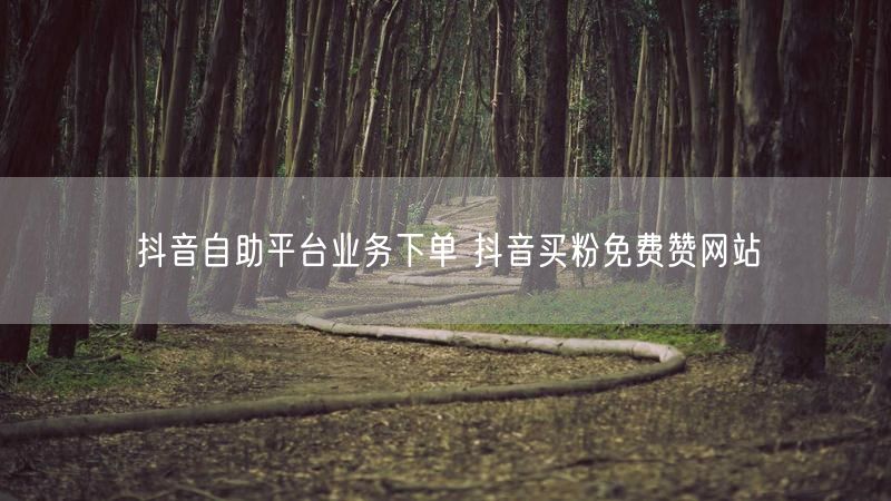 抖音自助平台业务下单 抖音买粉免费赞网站