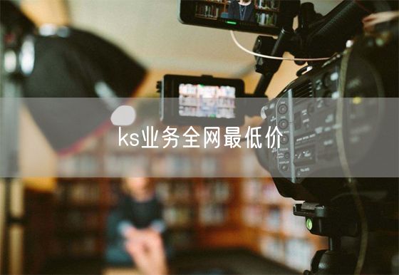 ks业务全网最低价