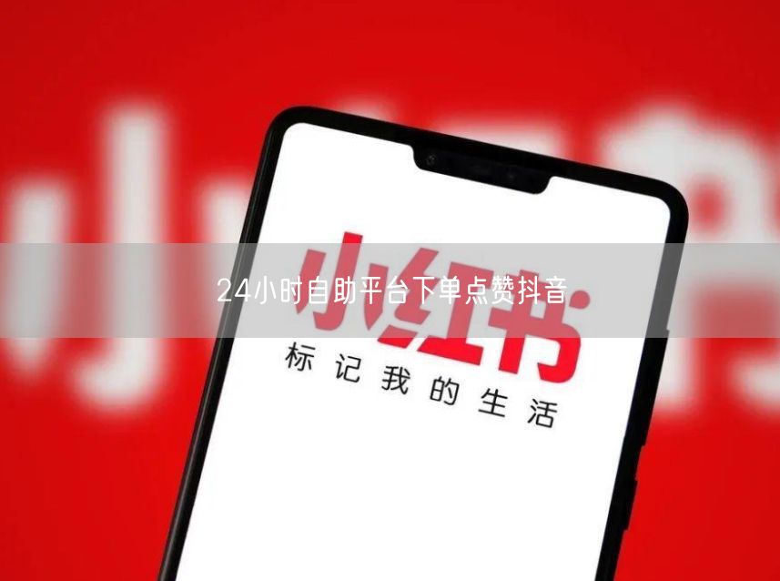 24小时自助平台下单点赞抖音