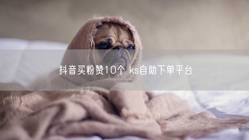 抖音买粉赞10个 ks自助下单平台