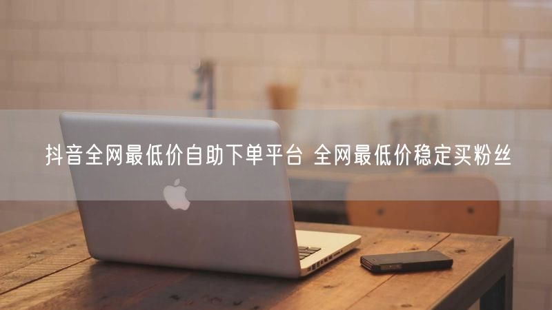 抖音全网最低价自助下单平台 全网最低价稳定买粉丝