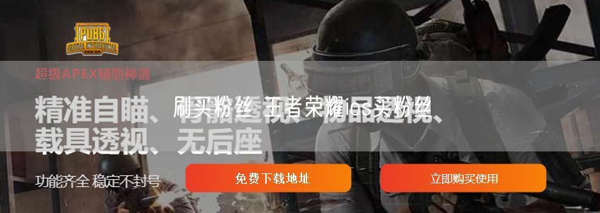 刷买粉丝 王者荣耀ios买粉丝