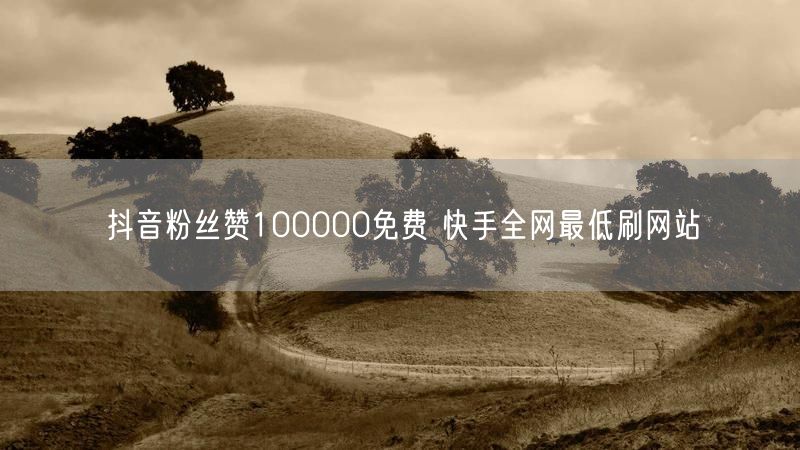 抖音粉丝赞100000免费 快手全网最低刷网站