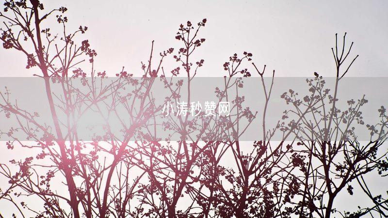 小涛秒赞网