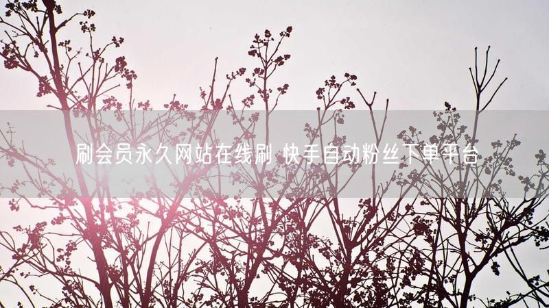 刷会员永久网站在线刷 快手自动粉丝下单平台