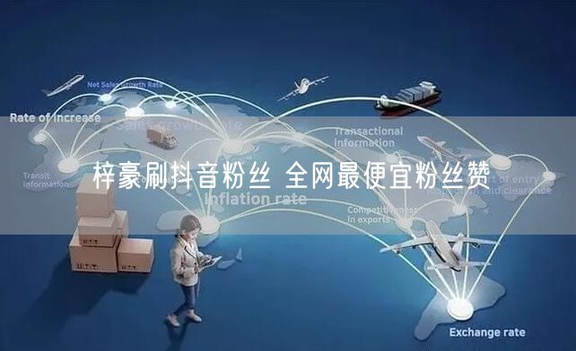 梓豪刷抖音粉丝 全网最便宜粉丝赞