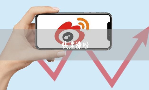 快速涨粉