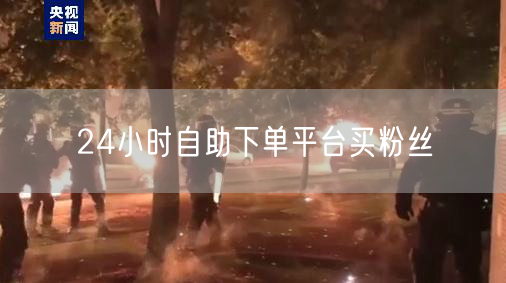 24小时自助下单平台买粉丝