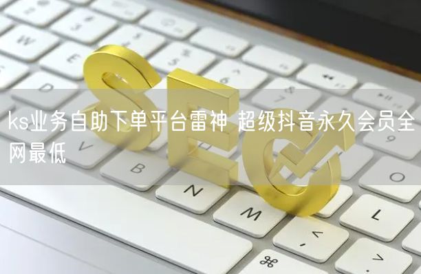 ks业务自助下单平台雷神 超级抖音永久会员全网最低