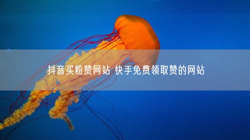 抖音买粉赞网站 快手免费领取赞的网站