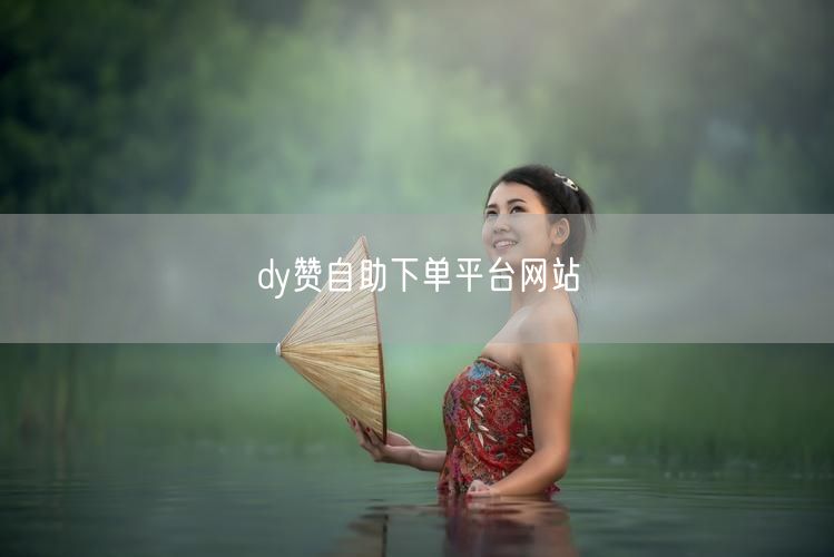 dy赞自助下单平台网站