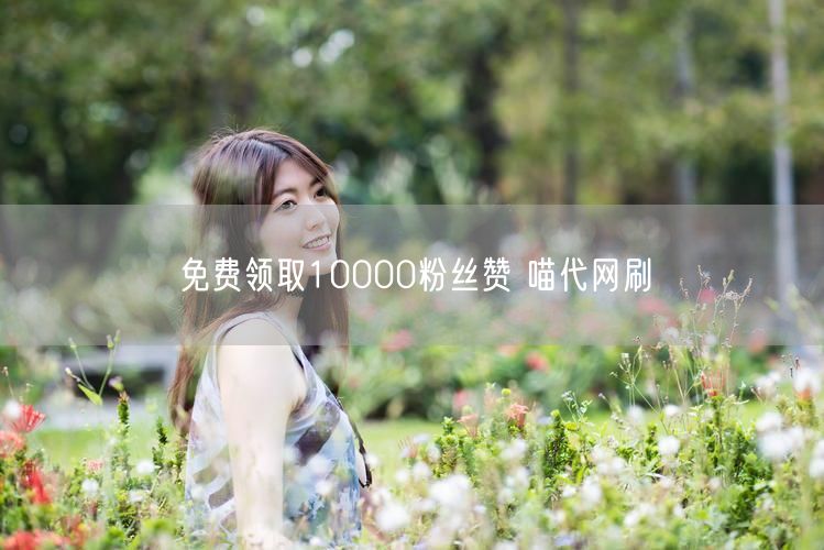 免费领取10000粉丝赞 喵代网刷