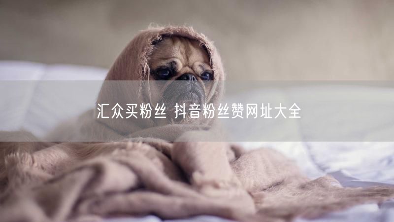 汇众买粉丝 抖音粉丝赞网址大全