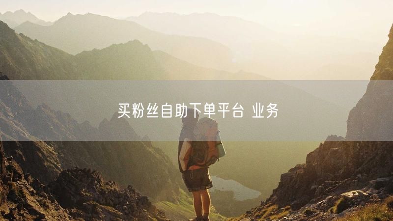 买粉丝自助下单平台 业务