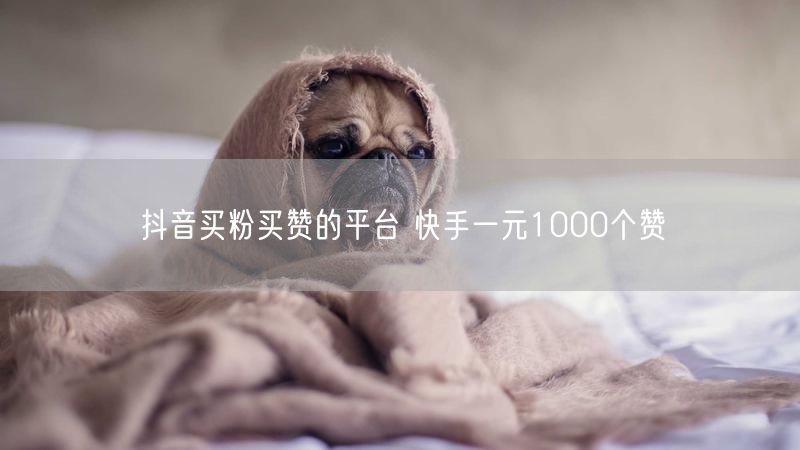 抖音买粉买赞的平台 快手一元1000个赞