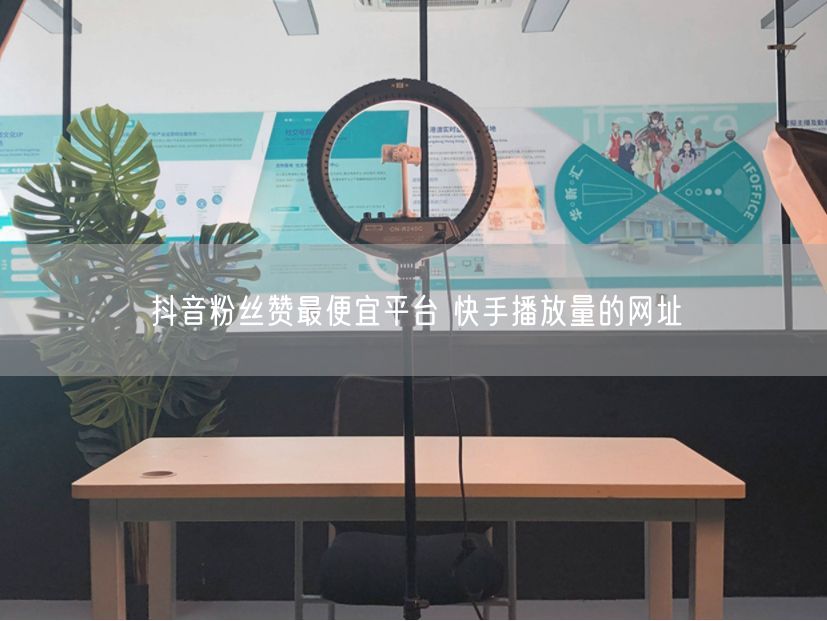 抖音粉丝赞最便宜平台 快手播放量的网址