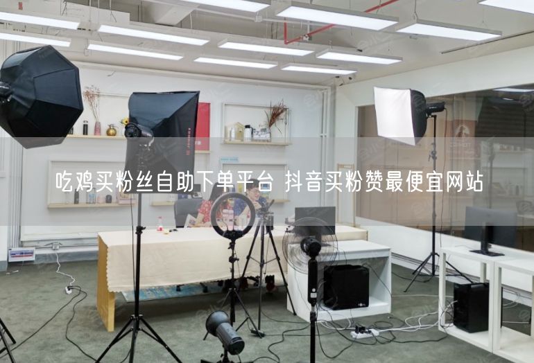 吃鸡买粉丝自助下单平台 抖音买粉赞最便宜网站