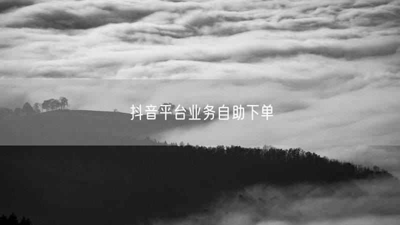 抖音平台业务自助下单
