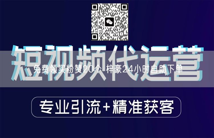 免费领买粉赞20个 梓豪24小时自助下单