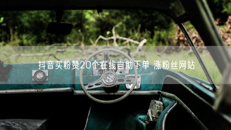 抖音买粉赞20个在线自助下单 涨粉丝网站