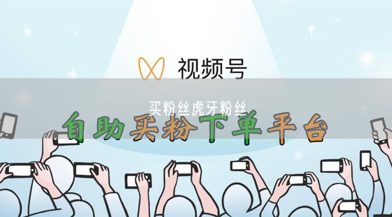 买粉丝虎牙粉丝