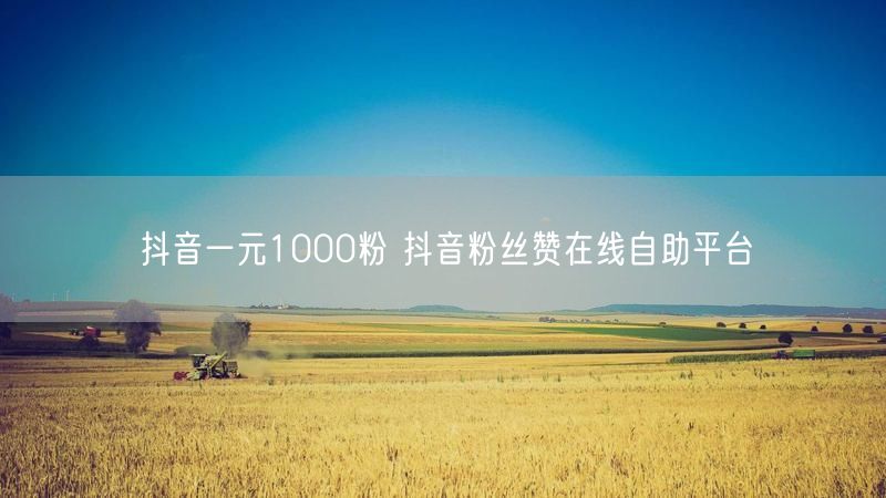 抖音一元1000粉 抖音粉丝赞在线自助平台